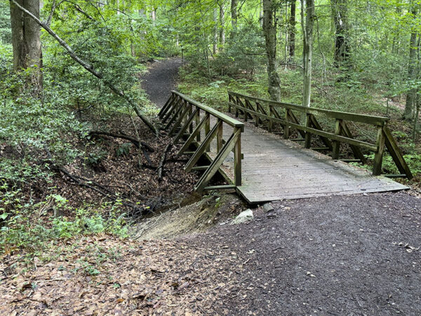Scan the creek from either side of this bridge to look for amphibians and birds.