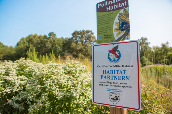 An image of a plaque describing the pollinator demonstration garden behind it; this plague reads "certified wildlife habitat...providing food, water, and cover for many species."