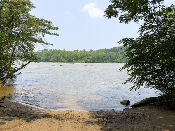 Viewing the James River from Half Moon Beach doesn’t require rock scrambling so anyone can see waterfowl, ospreys, and double-crested cormorants. Photo Credit: Lisa Mease