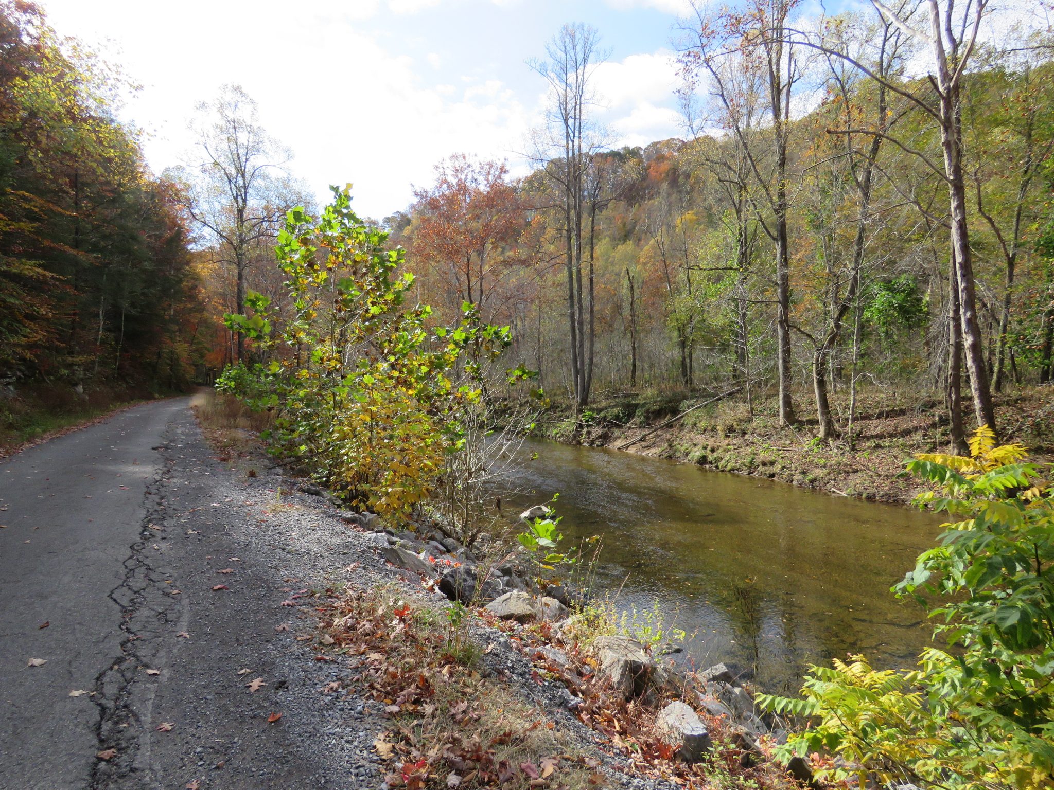 Pound River Recreational Area | Virginia DWR