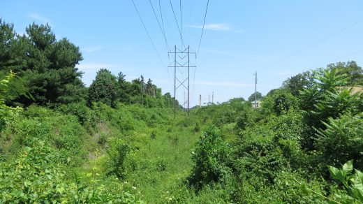 An image of a large powerline without trees nearby it because they are cut to prevent entanglement