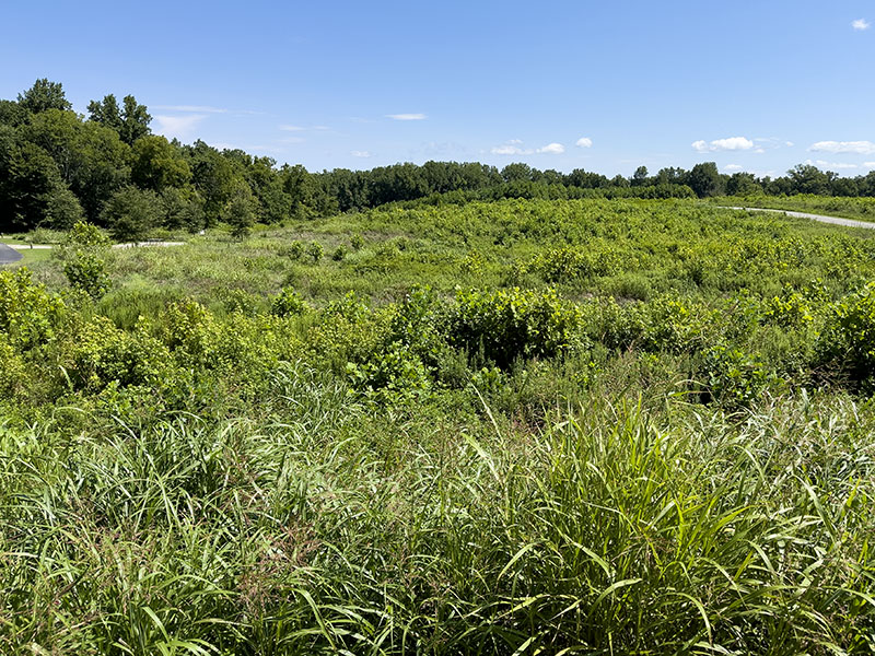 Powhatan State Park | Virginia DWR