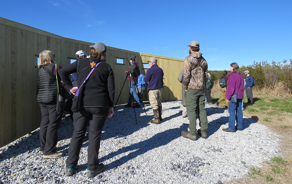 An image of a group of birding tour participants looking out of a wildlife viewing wall
