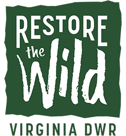 Click to open link to the Virginia DWR restore the wild webpage