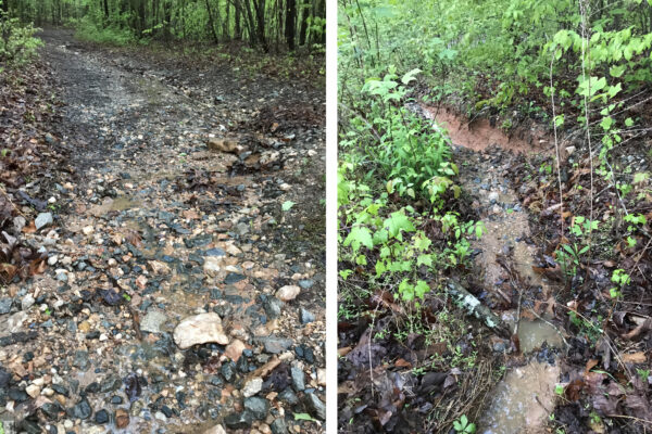 An collection of two images showing water gullies forming in a poorly maintained trail washing out the soil from the area