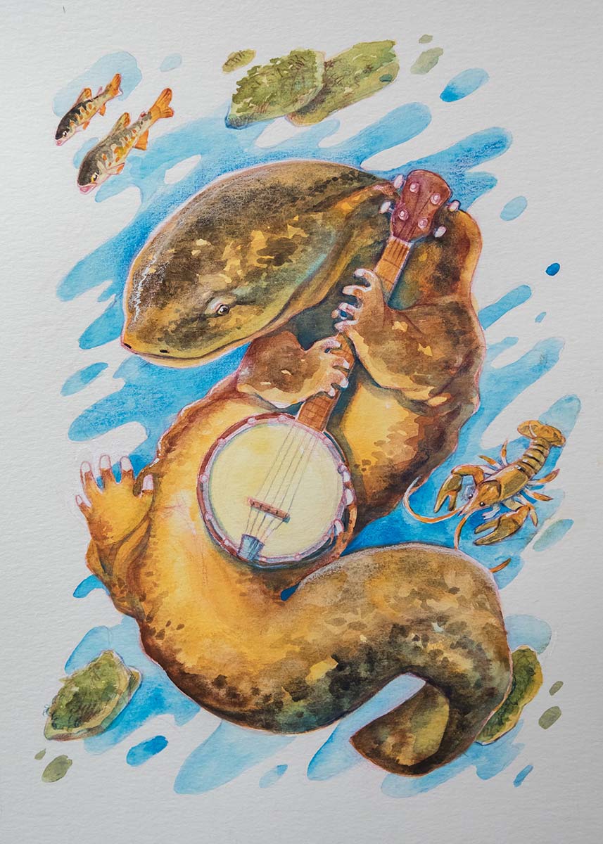 Illustration of an eastern hellbender playing a banjo