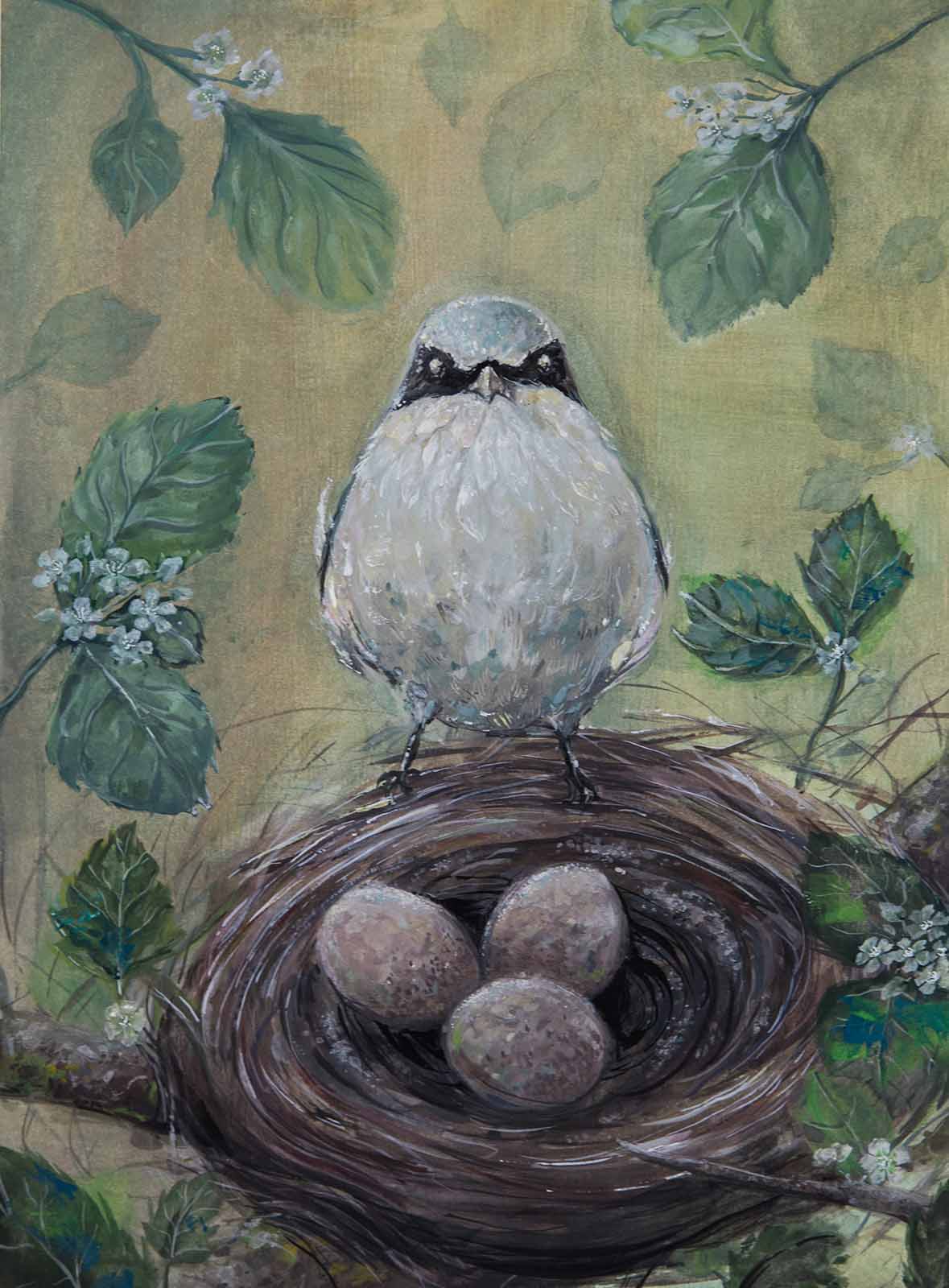 A loggerhead shrike perched on a nest containing three eggs.