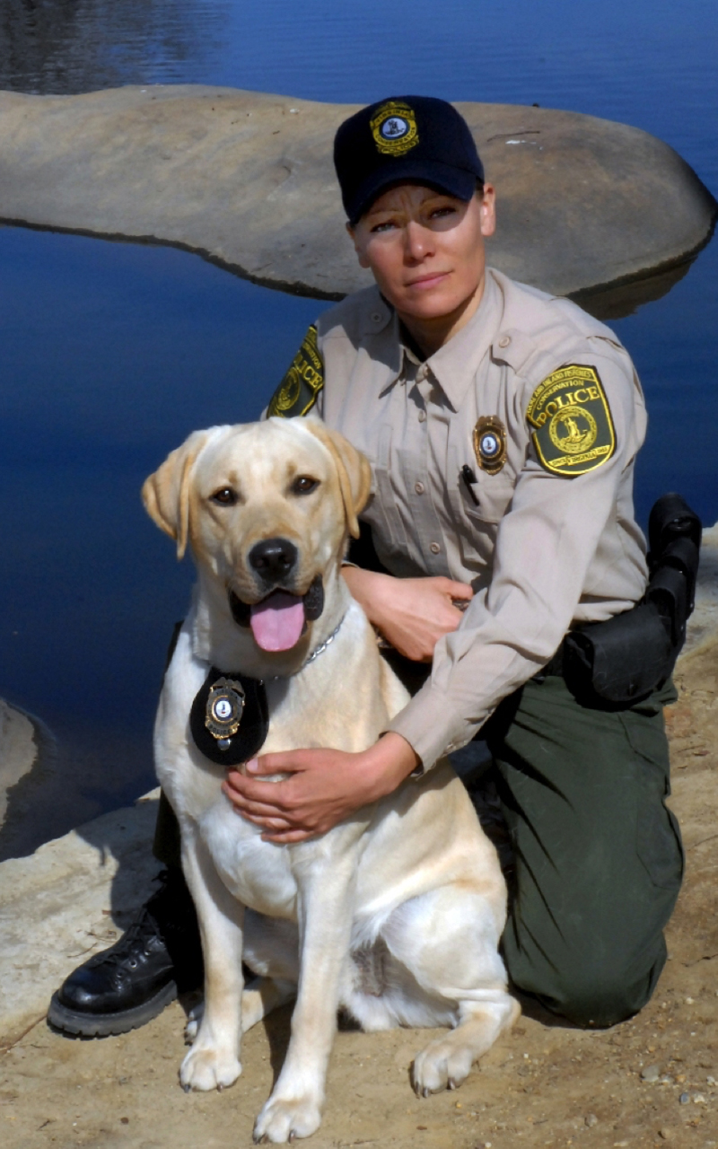 An image of Megan Vick and her retired K9 officer a yellow lab named Jake