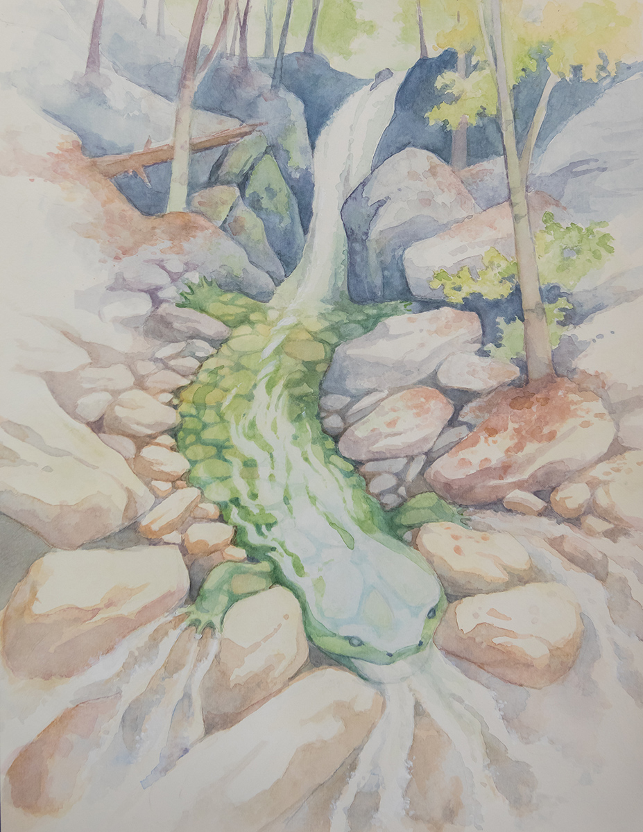 A watercolor painting of a hellbender which won the artistic expression category