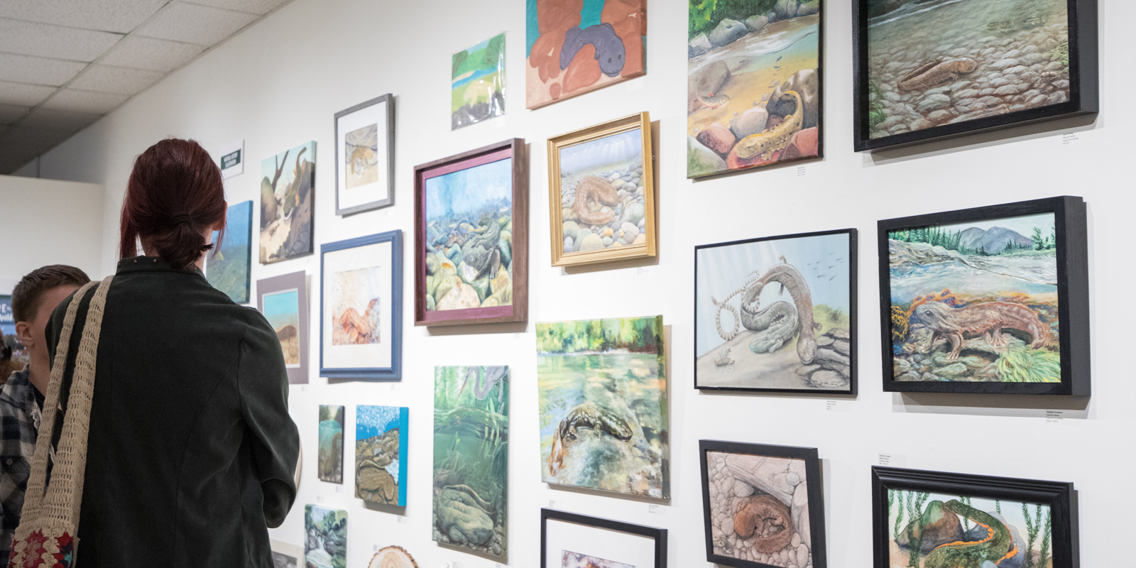 An image of an art galley made with entries from the 2023 restore the wild artwork competition