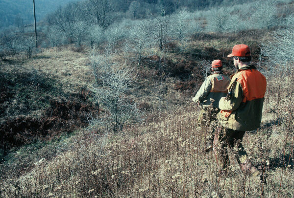 An image of two hunters in orange visibility vests walking down a hill looking for grouse