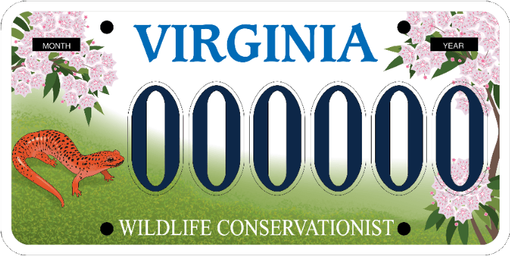 A sample Virginia Wildlife Conservationist license plate, illustrated with a bright red and orange Red Salamander, Virginia's official state salamander.