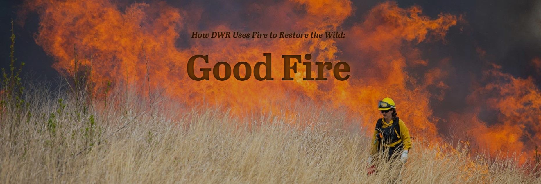 Click to open DWR link to presentation about prescribed fires