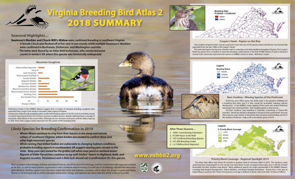 Season 2018 Final Summary of the Virginia breeding bird atlas 2