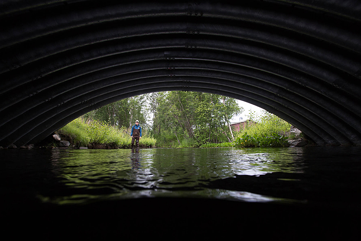 An image of a metal fish passage which was built to replace barriers in the creek allowing the waterway to have a greater variety of fish species due to non restraining their movement.