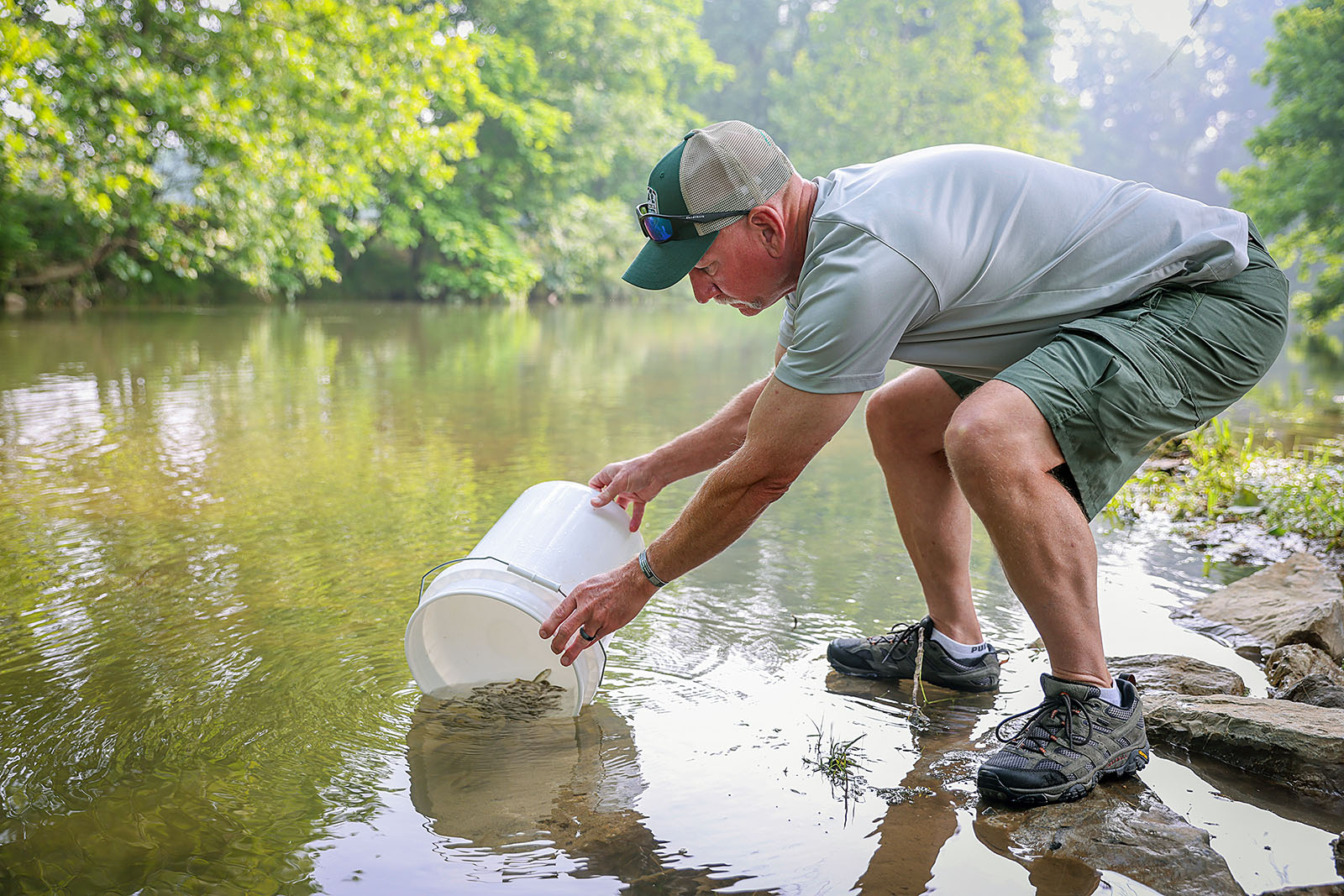An image of a man using a small bucket to deliver smallmouth bass into a river
