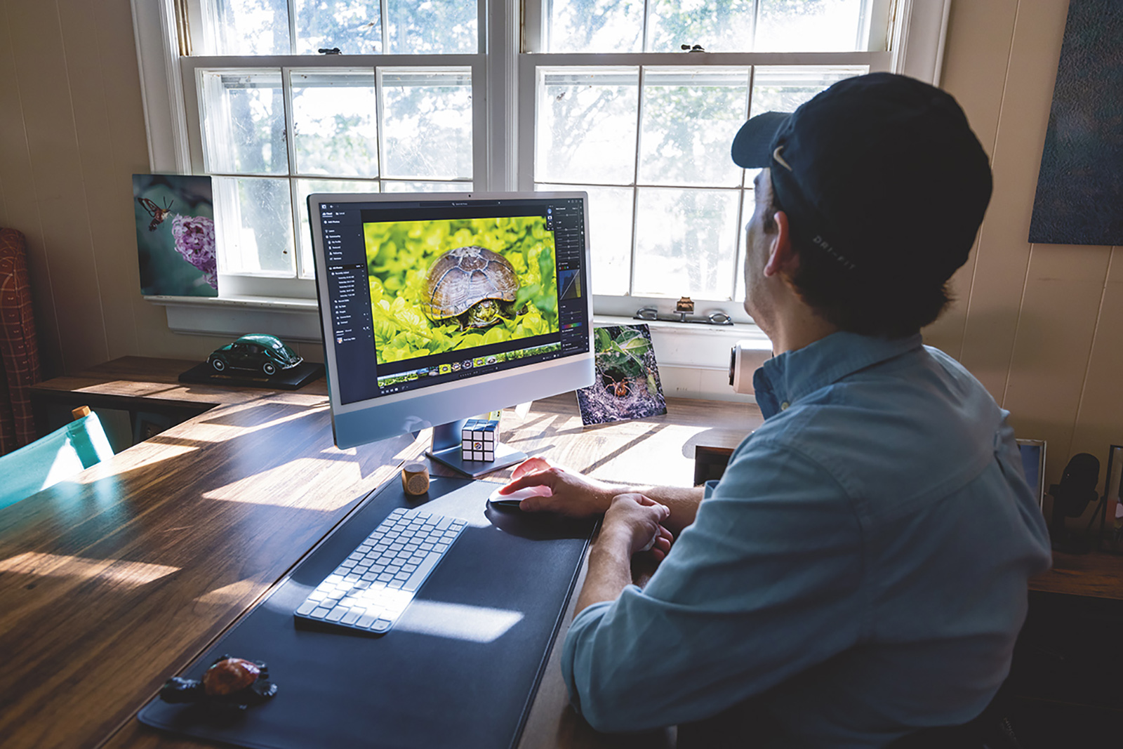 A photo of a man sitting in front of a computer with a photo of a turtle on the monitor.