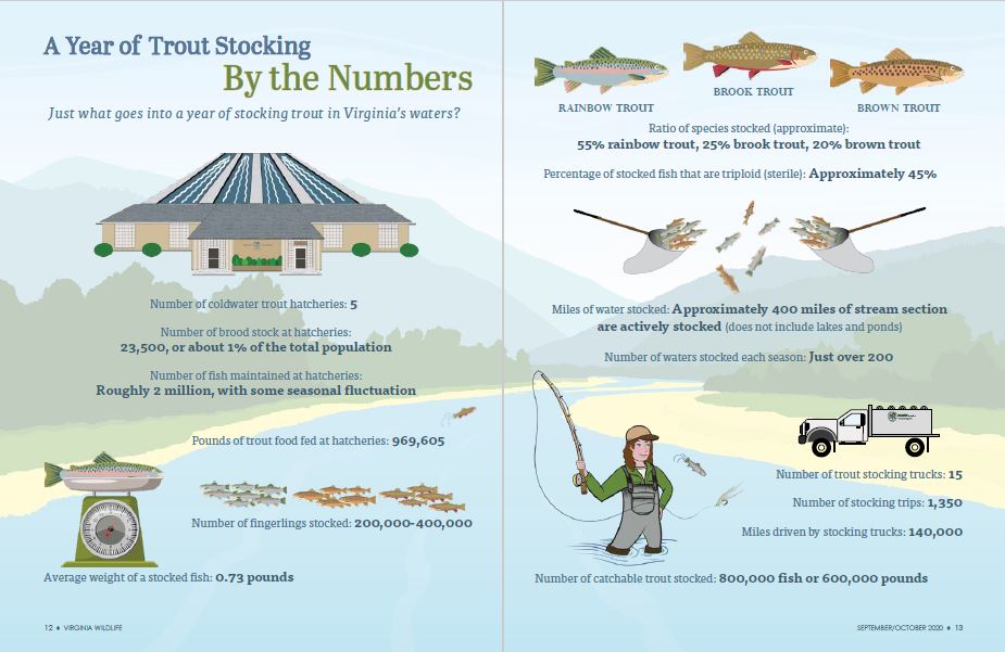 DWR Trout Stocking Explained Virginia DWR
