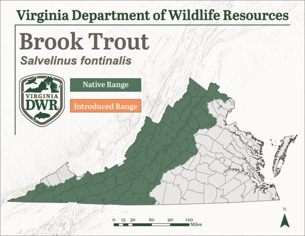 Native Brook Trout distribution in Virginia