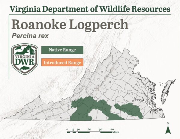 Known distribution of Roanoke Logperch (Percina rex)