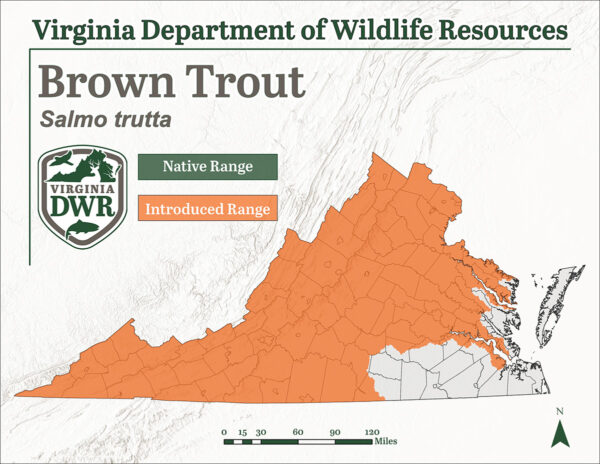 Brown Trout Distribution in Virginia