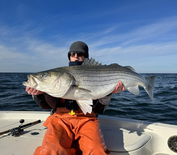 An image of a man holding a large bass on a boat