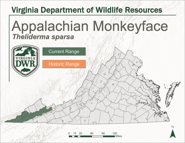 Distribution of Appalachian Monkeyface in Virginia