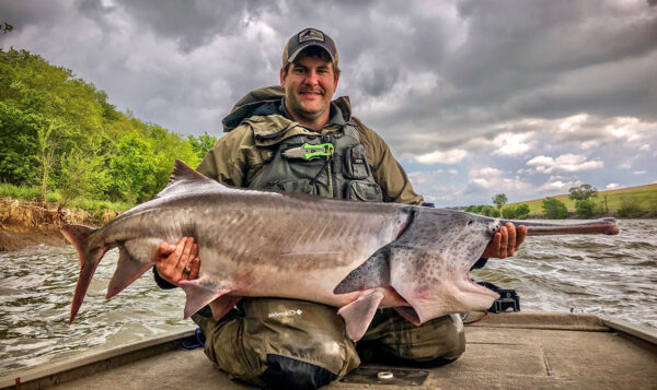 An image of Paddlefish
