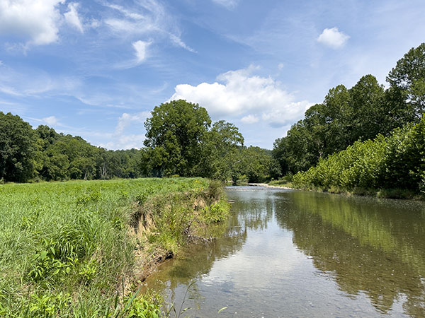The Cowpasture River running through the property attracts herons to the banks and flycatchers to the trees on the shore. Photo Credit: Lisa Mease