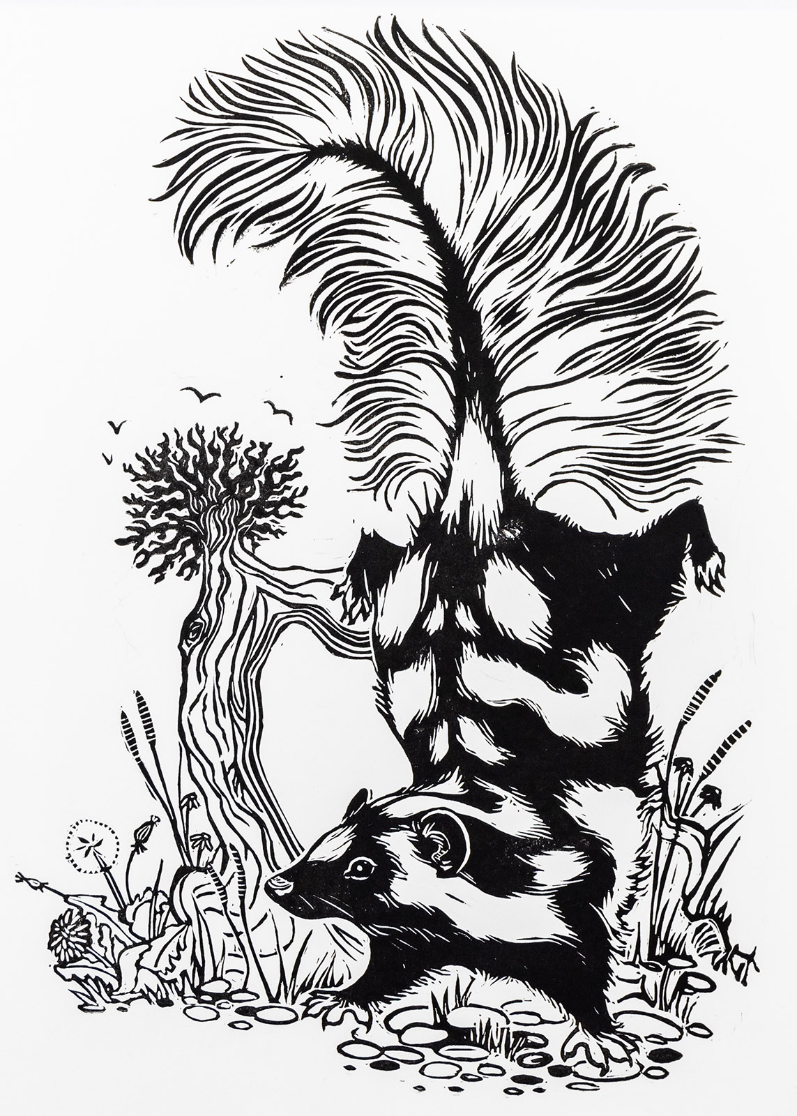 A black-and-white print of a spotted skunk doing a handstand by a tree stump.