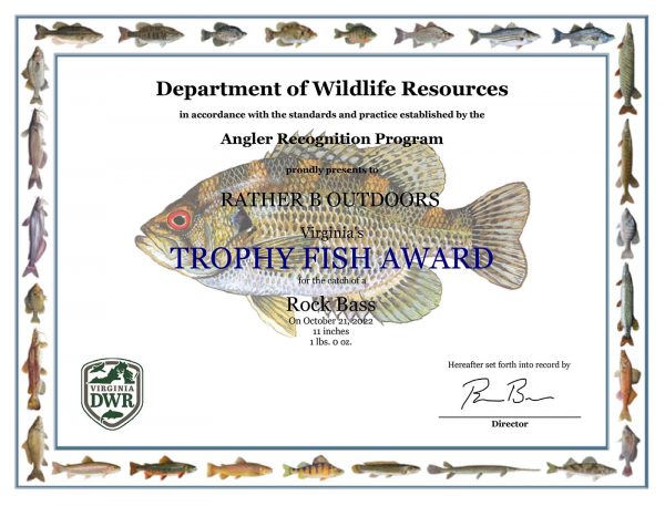 Click to open Rock Bass Trophy Fish award in a new tab