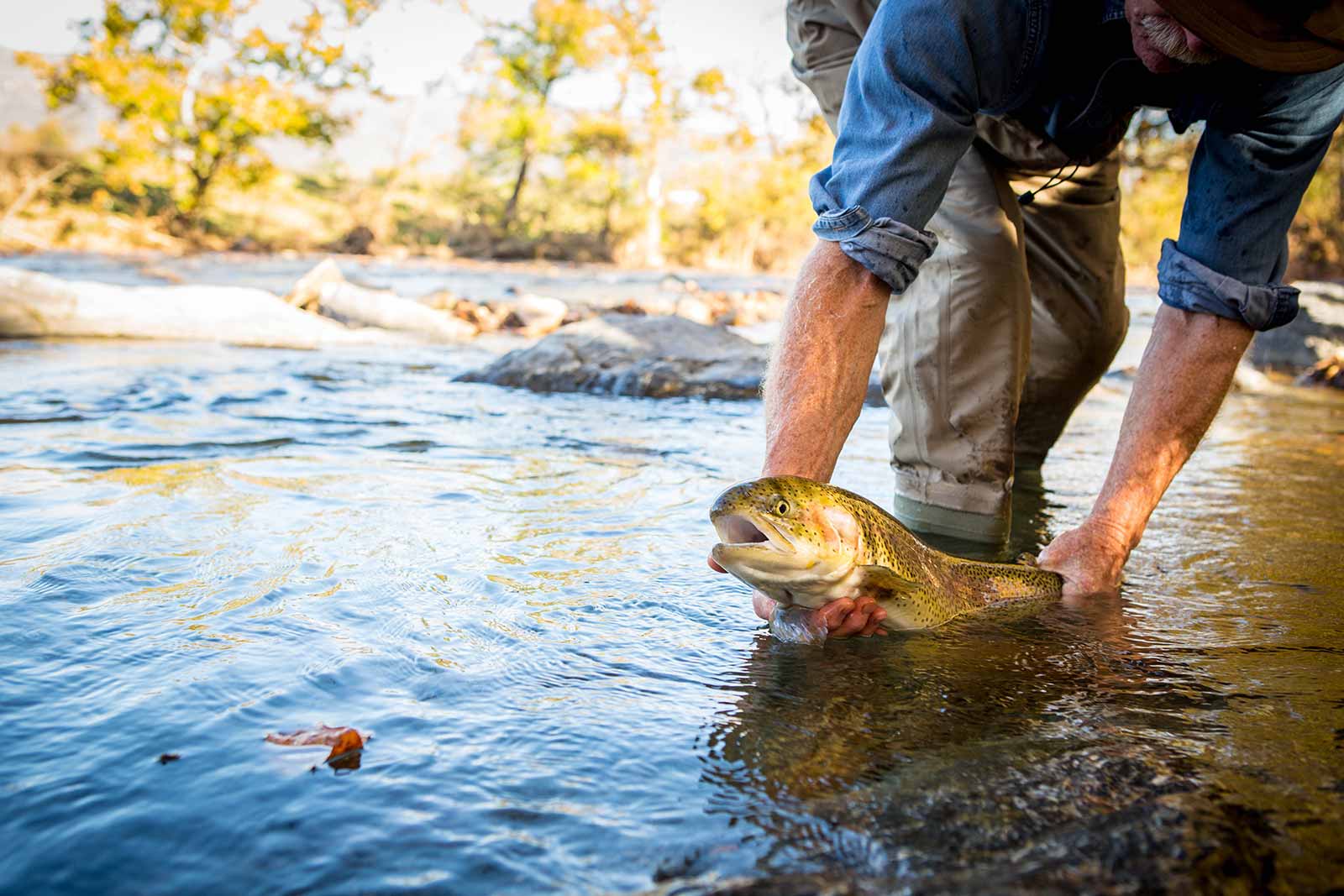 Fishing Report: Low water hampers fishing; trout stocking begins in two  weeks