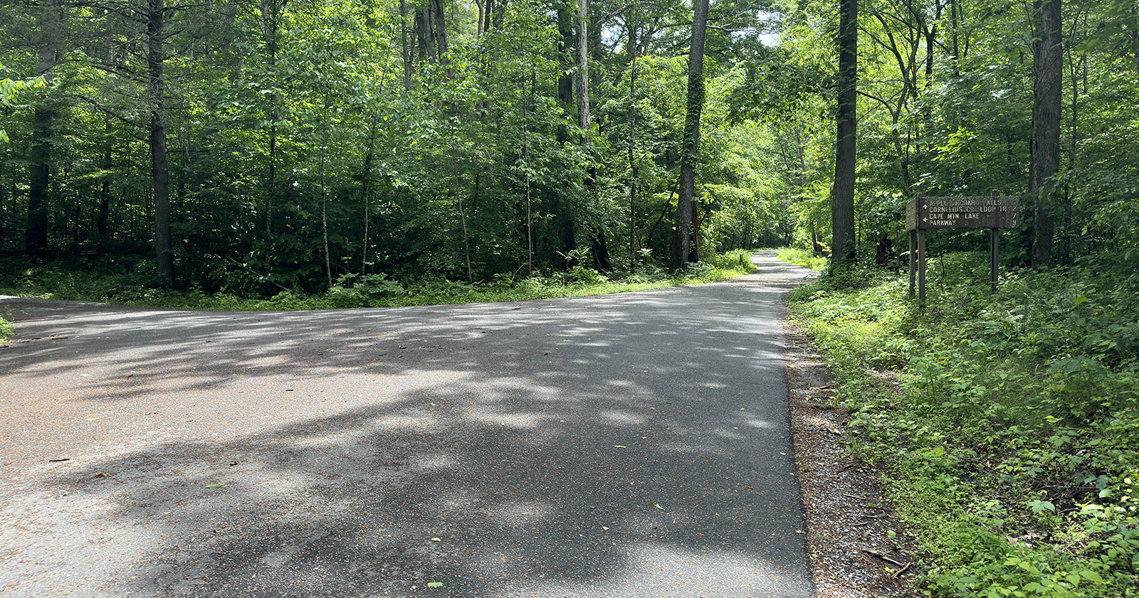 A photo of a road going through trees with a smaller road intersecting off to the left.