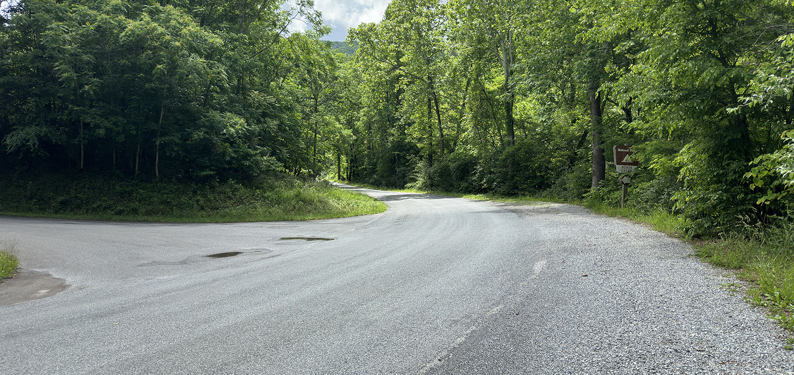 A photo of a road curving to the left through trees with a gravel road intersection to the left.