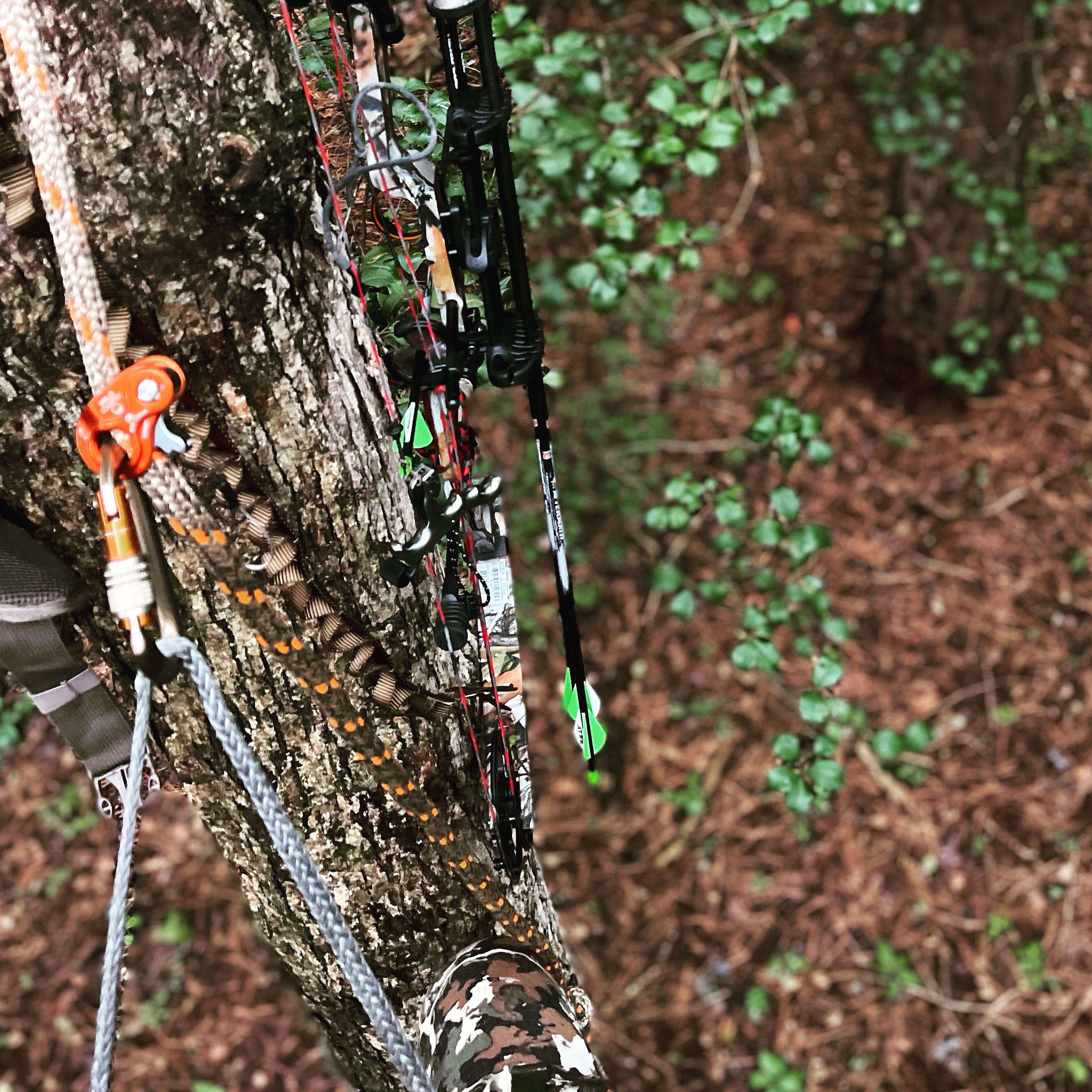 Saddle Up for the Next Deer Season? Virginia DWR