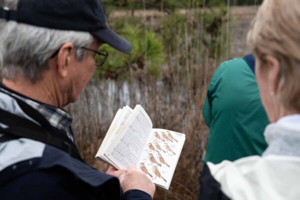 A man points to several bird illustrations in a field guide while another person looks on