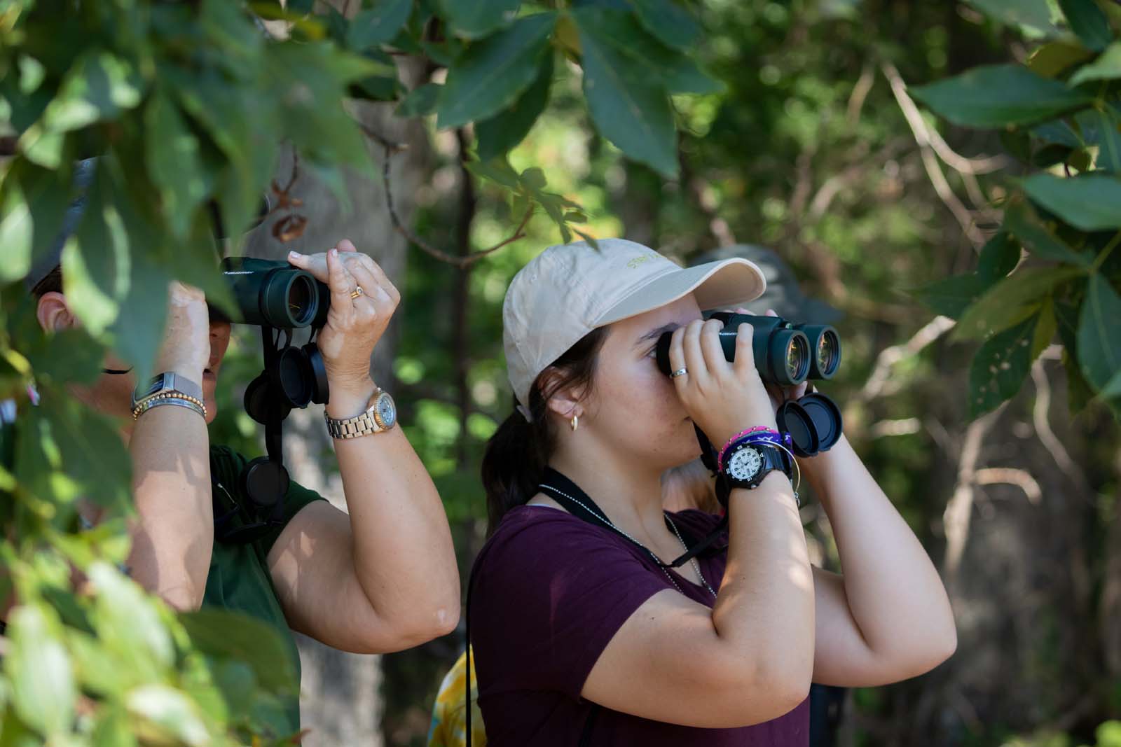 An image related to this topic