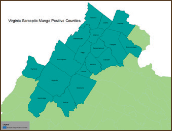 A map depicting Virginia counties where sarcoptic mange-positive bears have been detected