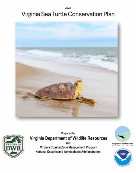 Virginia Sea Turtle Conservation Plan cover