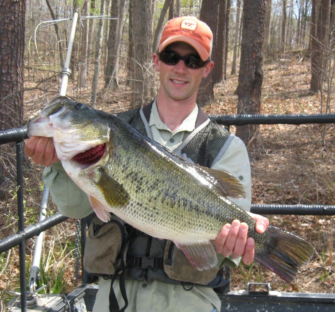 Virginia Reservoirs Ranked for Largemouth Bass Fishing Virginia DWR