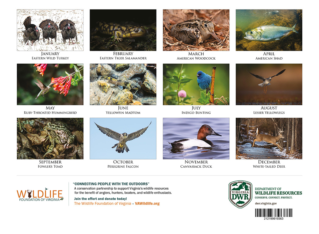 Back cover of the 2026 Virginia Wildlife Calendar, featuring the various images included with each month