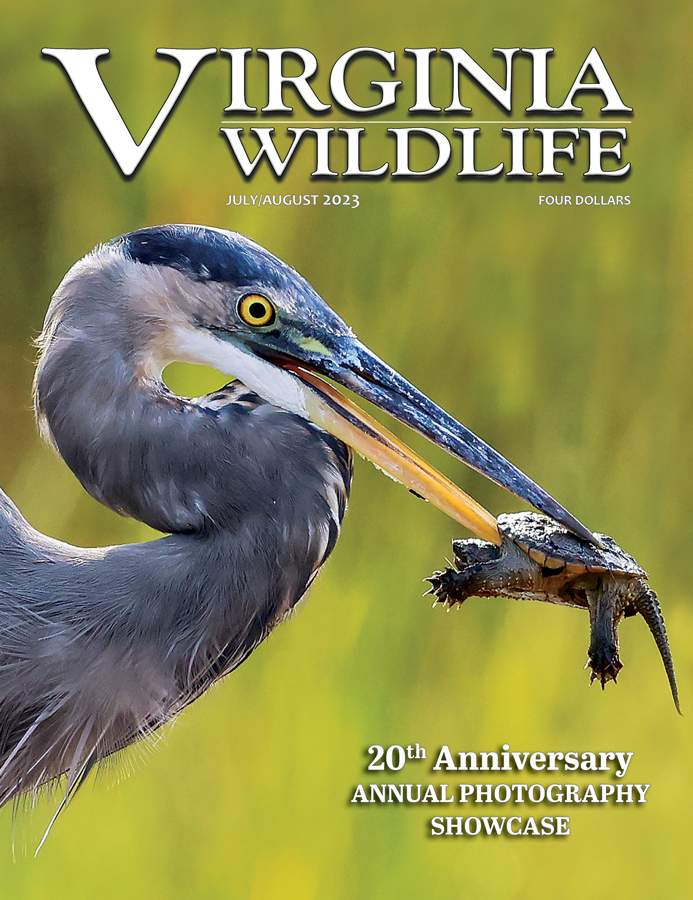 Virginia Wildlife Magazine Virginia DWR