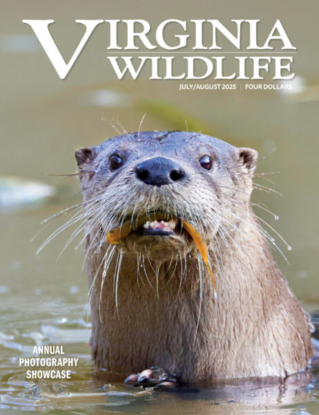 July-August 2025 Virginia Wildlife Magazine cover image