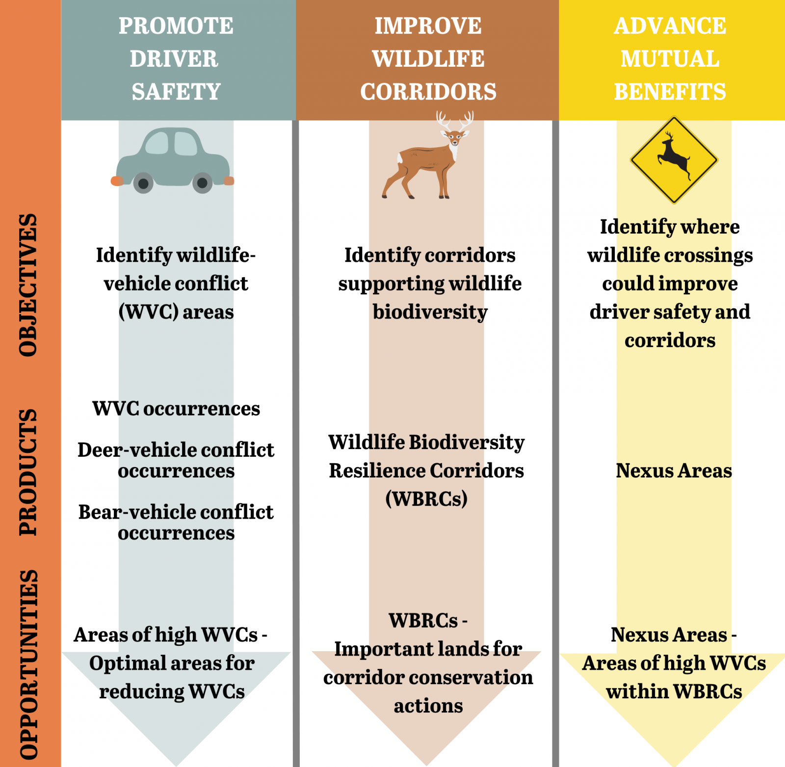 This graphic depicts the pathways of information and tools best used for accomplishing the three main themes from the plan. Those themes are 1) promoting driver safety, 2) improving wildlife corridors, and 3) a combination of those two which focuses on mutual benefits for drivers and wildlife.