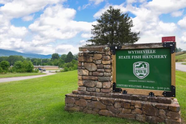 The Wytheville Fish Hatchery welcome sign