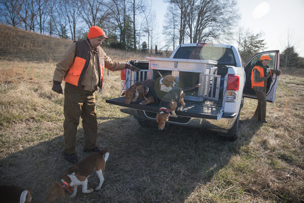 An image of hunters letting their hounds out of the pick up truck