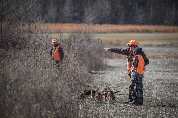An education of a child being instructed by an adult with hunting dogs on how to hunt rabbits