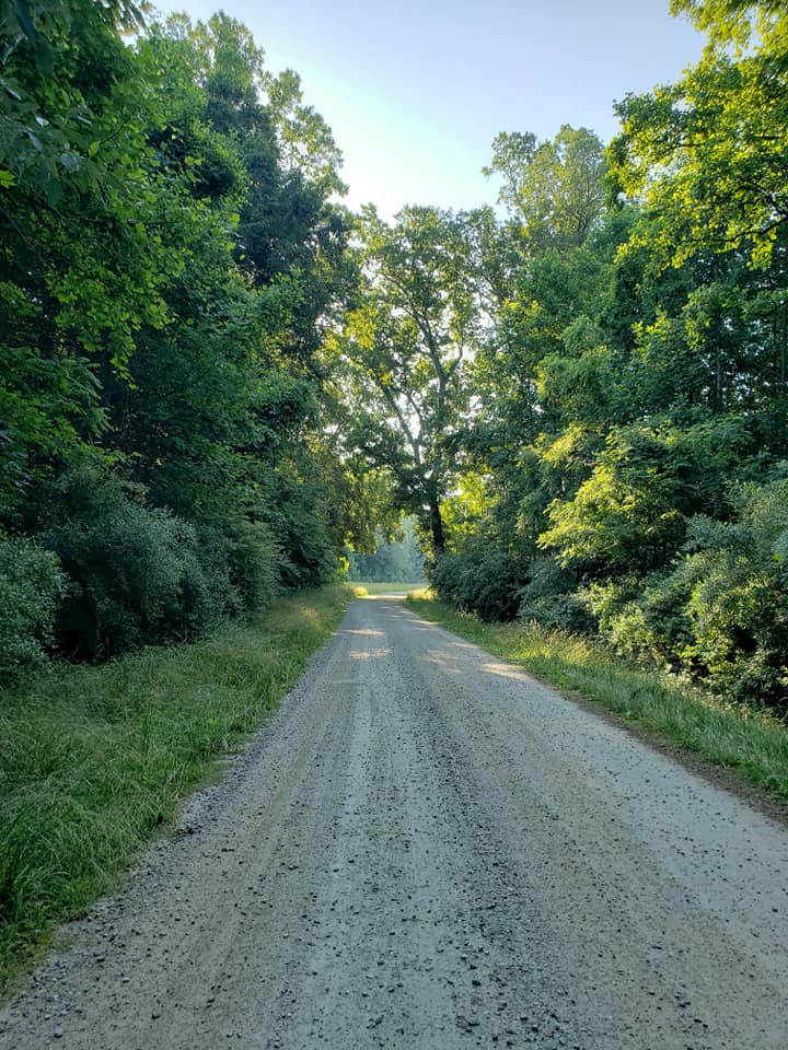 An image of a gravel path to access Amelia WMA