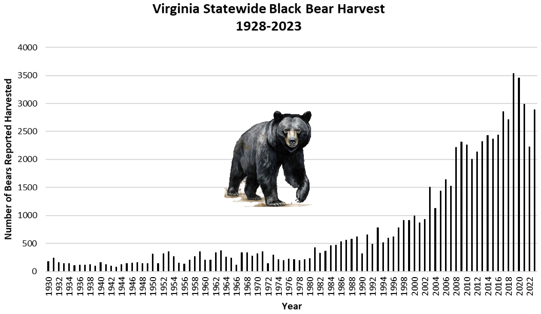 Virginia 20232024 Black Bear Harvest Virginia DWR