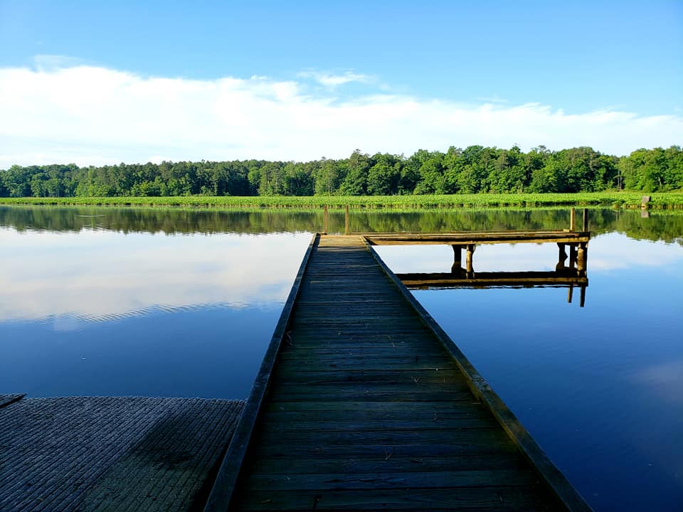 An image of the fishing dock at Chickahominy WMA